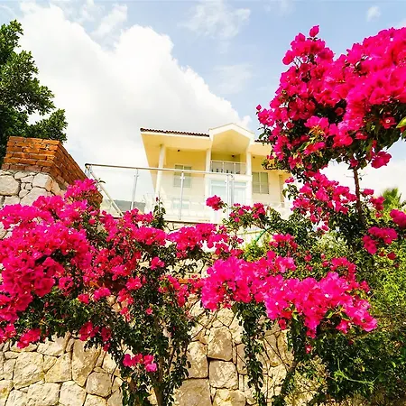 Villa Dream Land - 4+1 Ozel Plajli Kiralik *